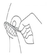 step4 step4